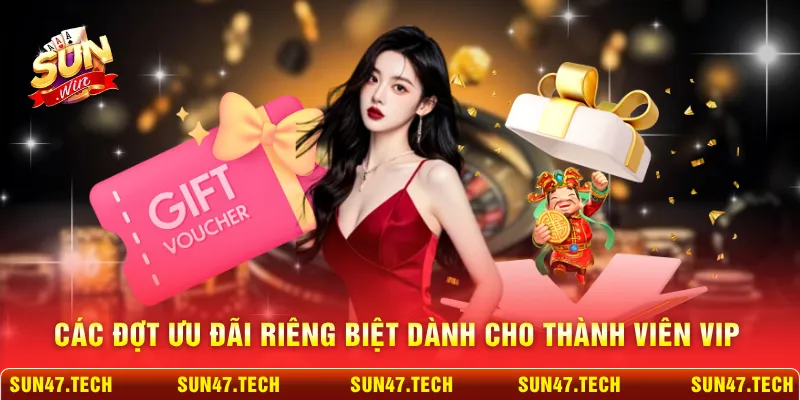 Các đợt ưu đãi riêng biệt dành cho thành viên VIP