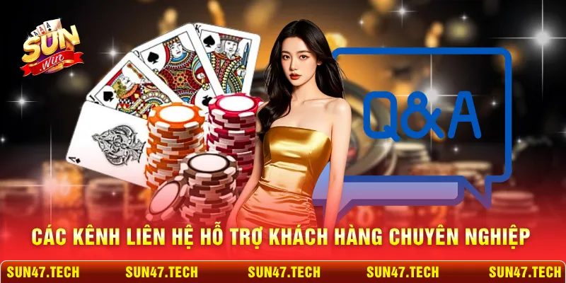 Các kênh liên hệ hỗ trợ khách hàng chuyên nghiệp