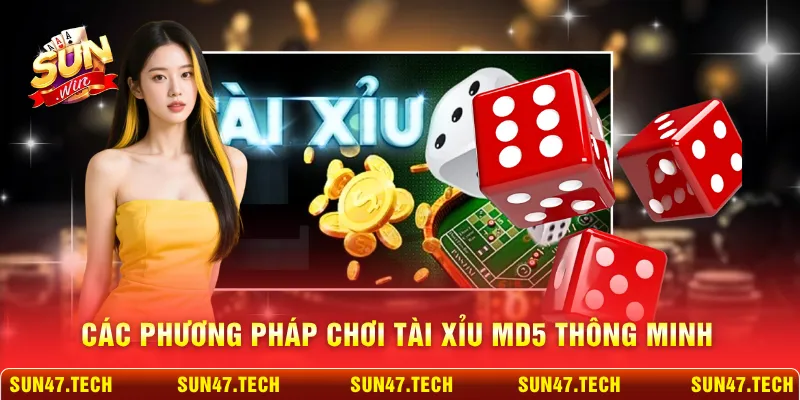Các phương pháp chơi tài xỉu MD5 thông minh
